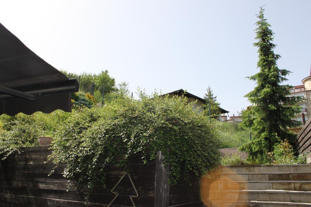 The Stone Villa Beli Iskar Exterior foto