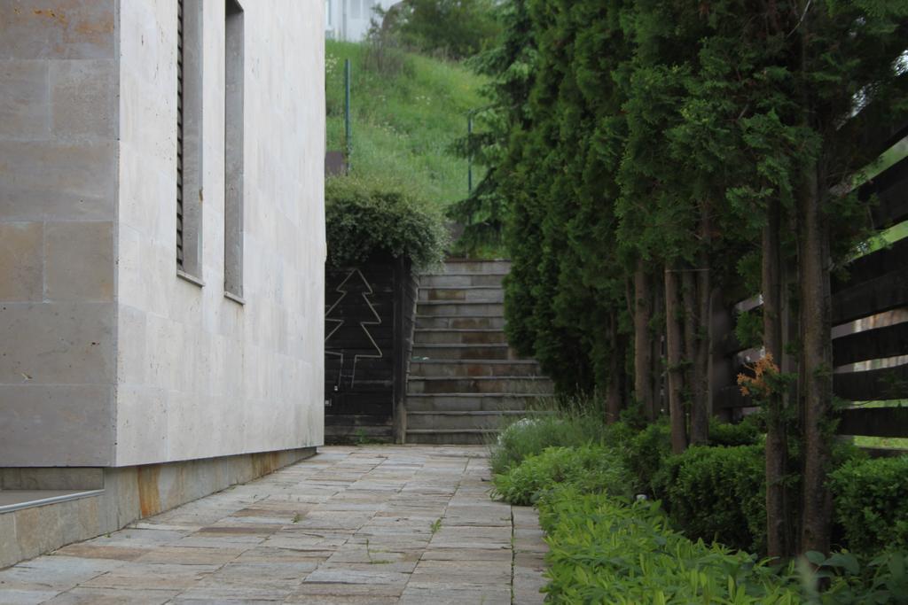 The Stone Villa Beli Iskar Exterior foto